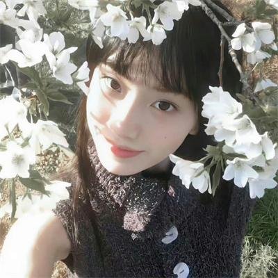 飞龙引凤