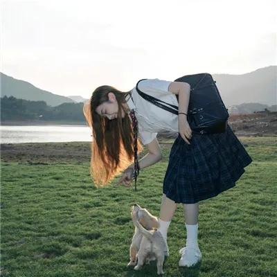 菜鸟囧探